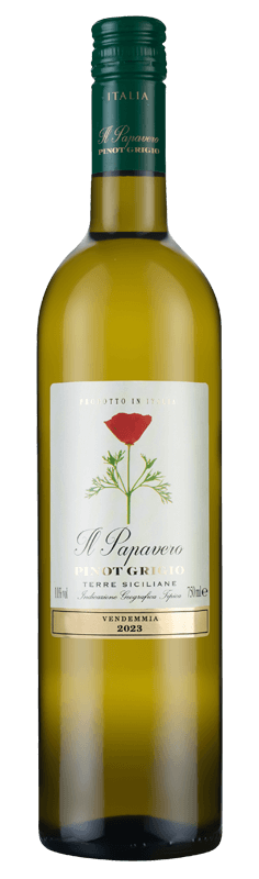 Il Papavero Pinot Grigio 2023 Il Papavero Pinot Grigio 2023