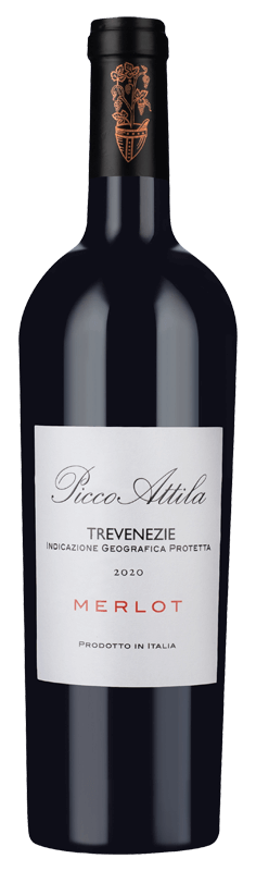 Picco Attila 2019 Picco Attila 2019