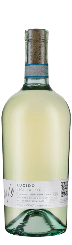 w/o Organic Lucido 2022 w/o Organic Lucido 2022