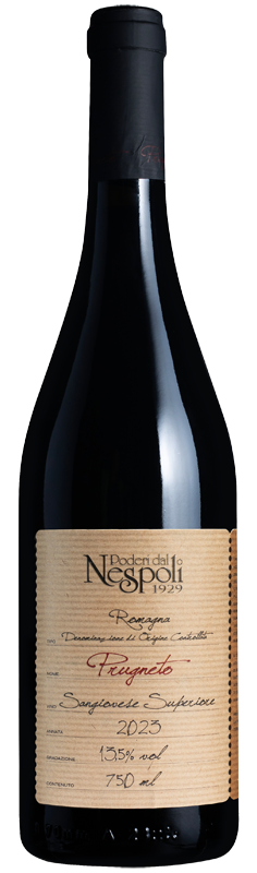 Prugneto Sangiovese Superiore 2023 Prugneto Sangiovese Superiore 2023