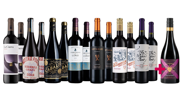 FLASH SALE International Reds + FREE $55 Shiraz