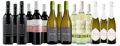 Q2 Affiliates: Party Pack Jumbo Mixed w Sparkling