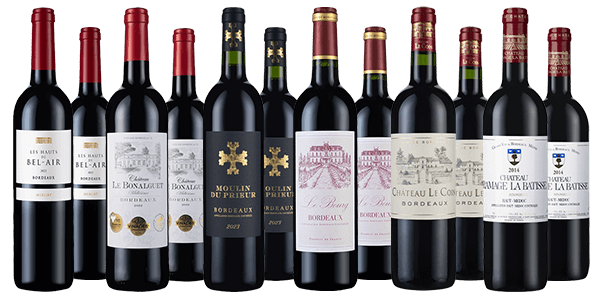 Lavish Bordeaux Beauties Dozen