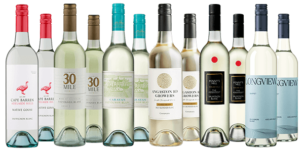 Sauvignon Blanc Dozen Sauvignon Blanc Dozen