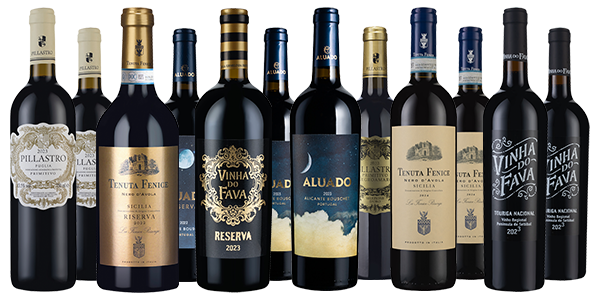 Discover Better International Dozen