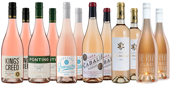 Premium Summer Rose Dozen