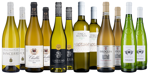 JohnLehmann International Whites Dozenz