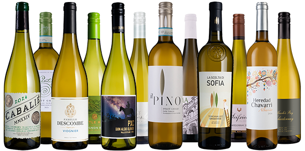 International Superstar Whites Dozen