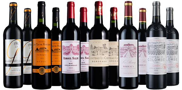 Lavish All-Gold Bordeaux Beauties Dozen
